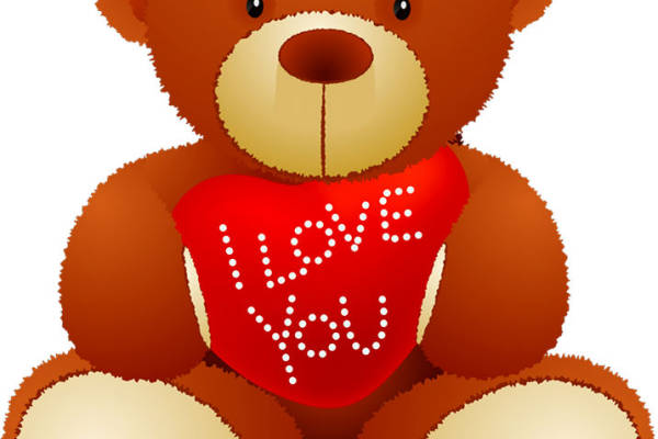 可爱熊形裁片印花服装，温馨情人节礼物选择