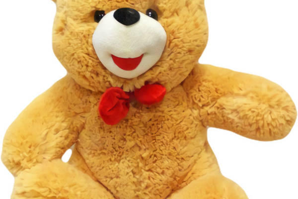 可爱泰迪熊裁片印花服装，温馨礼物之选