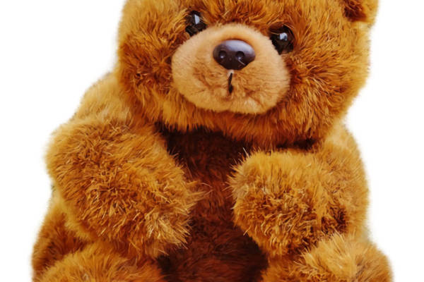 可爱棕色毛绒泰迪熊裁片印花服装印花设计