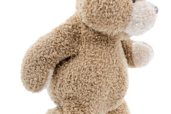 可爱棕色毛绒玩具狗裁片印花服装印花设计