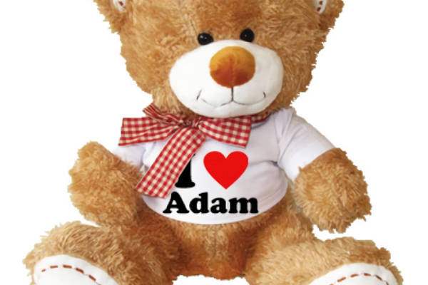 个性化定制裁片印花服装 可爱泰迪熊图案T恤