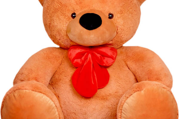 经典红色蝴蝶结可爱泰迪熊裁片印花服装