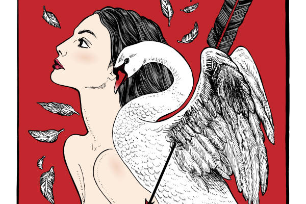 优雅天鹅裁片印花服装，展现自然之美的时尚选择