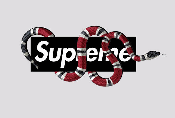 时尚前卫红黑蛇纹裁片印花服装，街头潮流必备单品