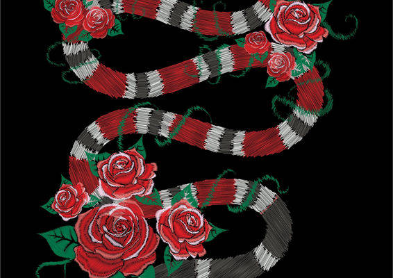 经典红玫瑰与黑白条纹裁片印花服装设计