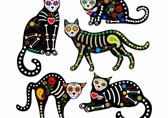 创意裁片印花服装：多彩猫咪图案的时尚之选