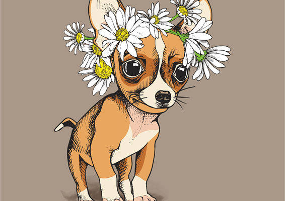 可爱小狗与雏菊裁片印花服装，春日里的清新选择