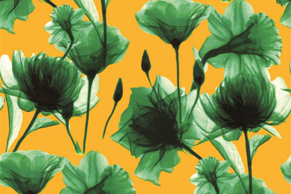 春日阳光下的绿色花卉面料印花,点亮你的服装