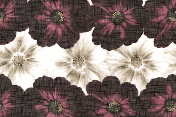 复古风格面料印花:优雅紫红与纯白花朵图案服装印花设计