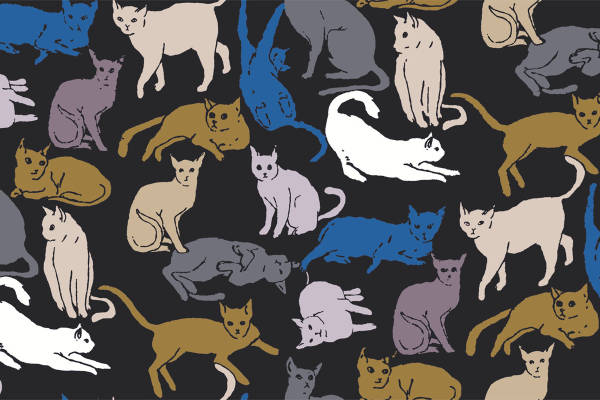 多彩猫咪图案服装印花面料：时尚与趣味的完美结合