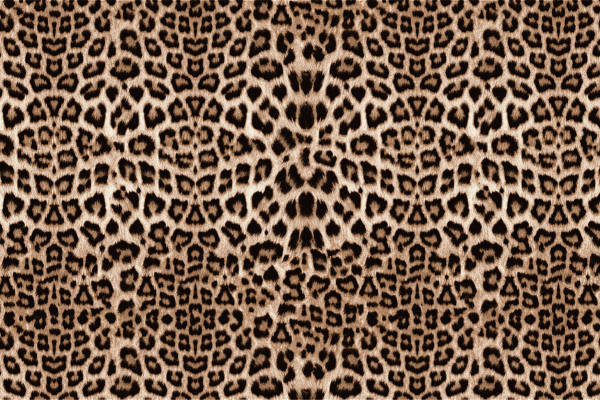 时尚豹纹面料印花,打造独特服装印花风格