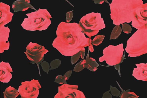 优雅黑色背景上的红色玫瑰服装印花面料设计
