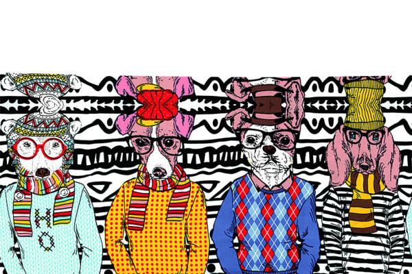 创意趣味动物服装印花:时尚与个性的完美结合