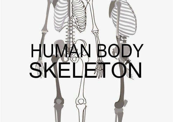 探索人体骨骼结构：独特裁片印花服装设计