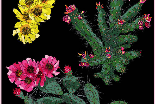 沙漠风情裁片印花服装:仙人掌与花朵的自然之美