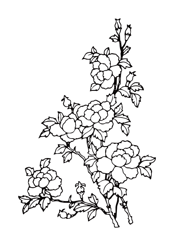 优雅花卉裁片印花服装：自然之美的时尚演绎