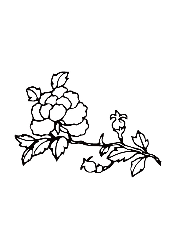 自然之美：花卉裁片印花服装印花设计