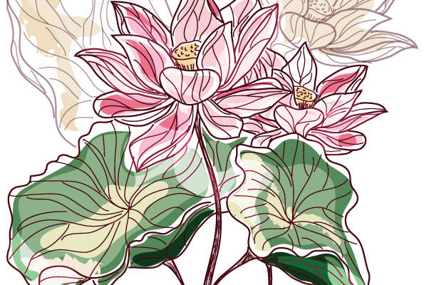 优雅荷花裁片印花服装：夏日清新风格必备