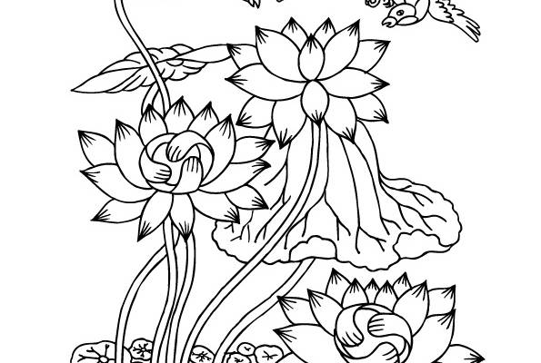 自然之美：荷花与飞鸟裁片印花服装印花设计