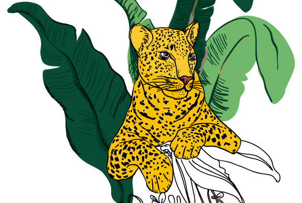 热带风情豹纹裁片印花服装,展现自然野性之美