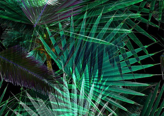 热带风情:时尚服装印花的绿色棕榈叶设计