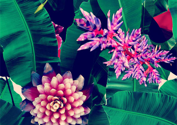 热带风情面料印花,点亮你的夏日服装印花时尚