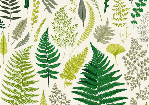 自然风格服装印花:清新蕨类植物图案面料印花