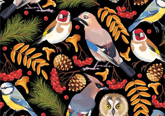 探索自然之美：冬季森林鸟类服装印花面料