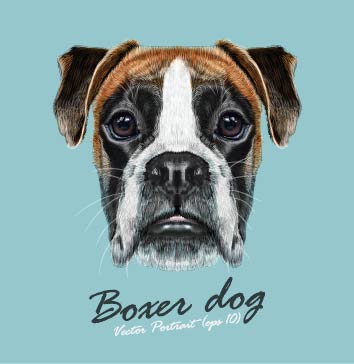 时尚潮流：Boxer Dog裁片印花服装印花设计