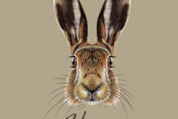 自然风格野兔裁片印花服装设计,展现独特个性