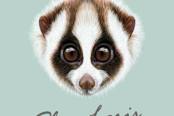 萌趣慢洛里斯裁片印花服装，自然风格时尚之选