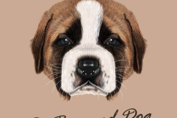 可爱圣伯纳犬裁片印花服装，展现独特个性魅力