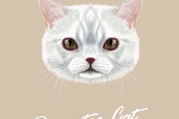 可爱猫咪图案裁片印花服装 温馨家庭宠物风格设计