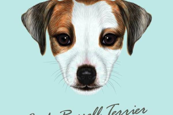 独特杰克罗素梗犬裁片印花服装 展现个性魅力