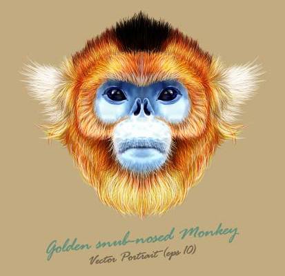 独特金鼻猴裁片印花服装,展现自然之美