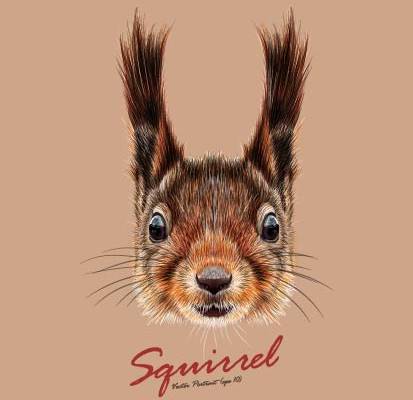 可爱松鼠裁片印花服装：自然风格与时尚的完美结合