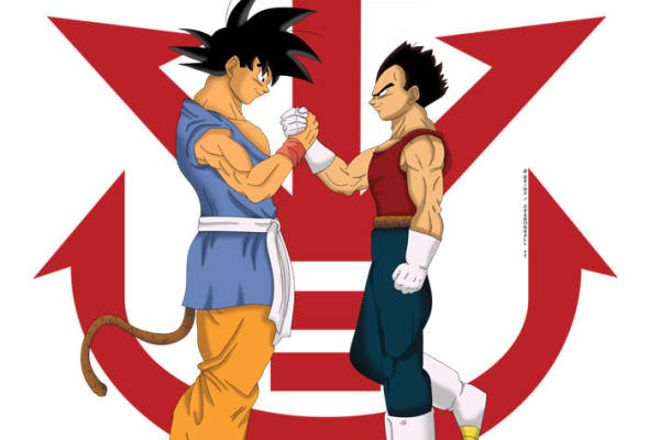 经典动漫裁片印花服装：悟空与贝吉塔的对决