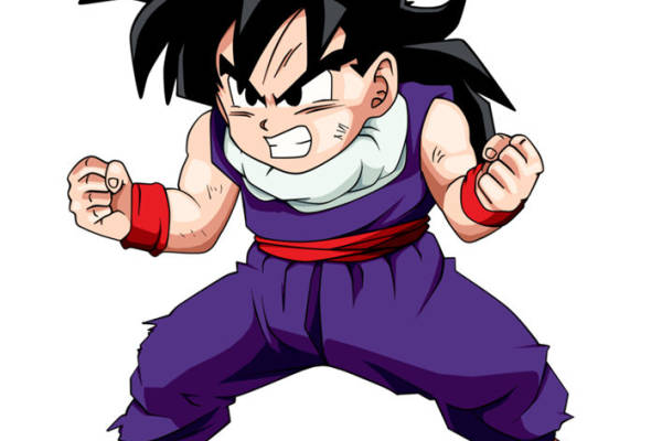 经典动漫裁片印花服装：孙悟空战斗姿态