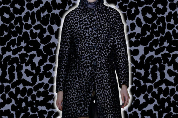 时尚豹纹面料印花服装，展现野性魅力与优雅风格
