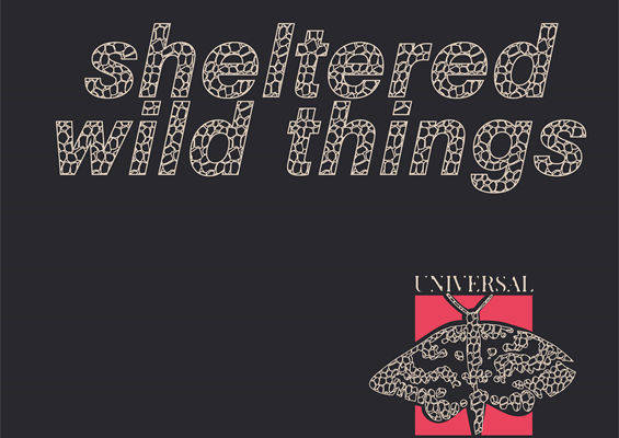 探索自然之美：动物纹裁片印花服装的时尚魅力