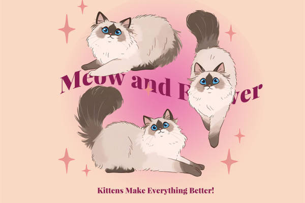 萌趣猫咪裁片印花服装：让每一天都充满可爱与活力