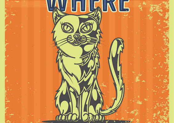 温馨可爱的猫咪裁片印花服装,让家的感觉随身携带