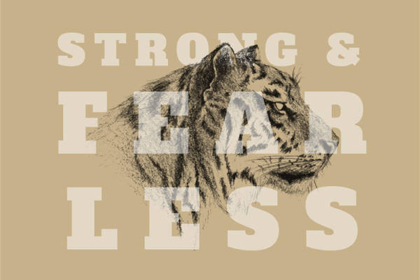 勇敢无畏的老虎裁片印花服装,展现力量与无畏精神