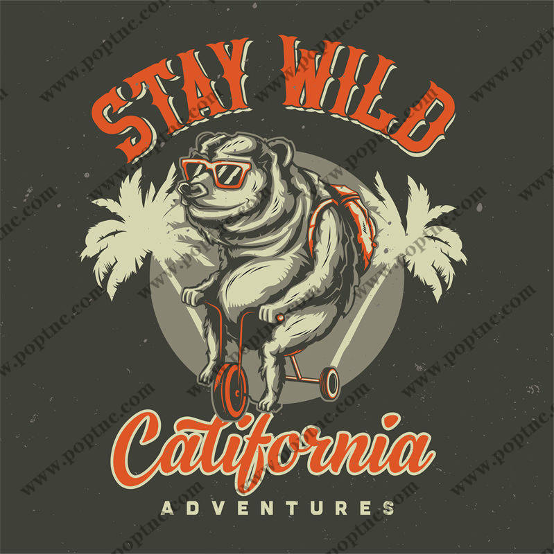 探索加州的冒险之旅:时尚裁片印花服装