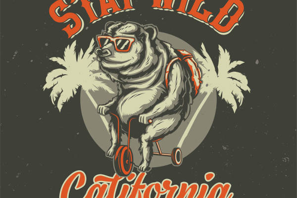 探索加州的冒险之旅:时尚裁片印花服装