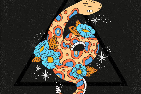 炫彩蛇纹裁片印花服装:时尚与自然的完美融合