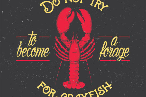 时尚个性裁片印花服装：别试图成为小龙虾的警示