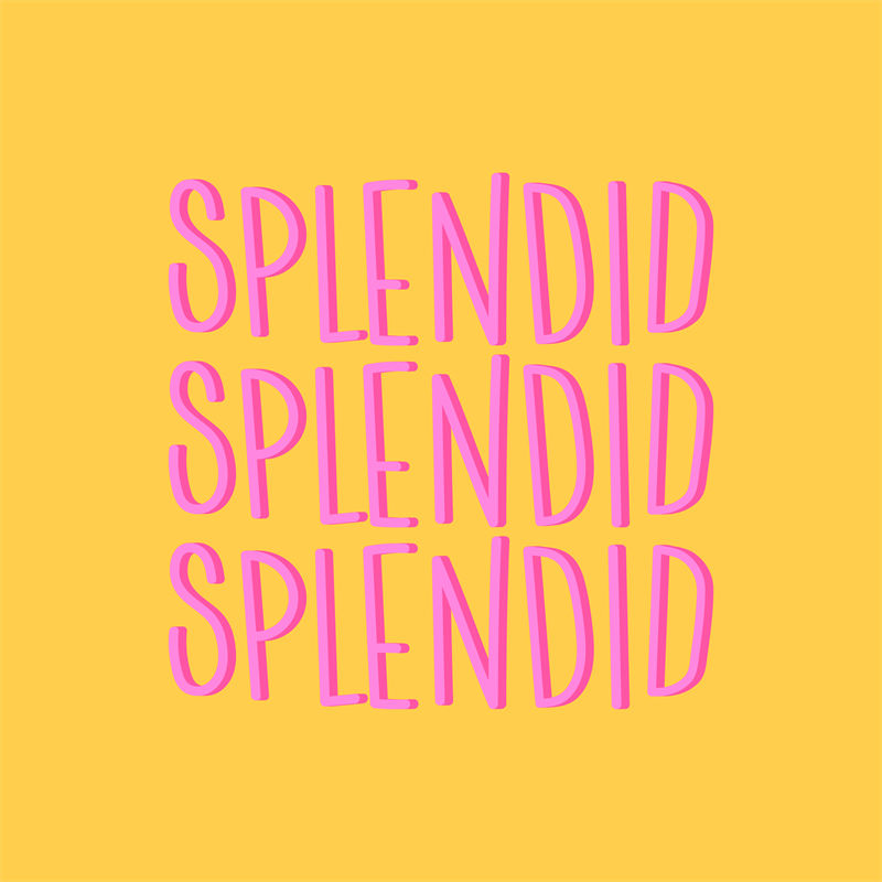 时尚活力裁片印花服装：'Splendid'字样设计
