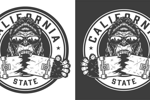 加州风格熊头裁片印花服装，展现独特街头潮流