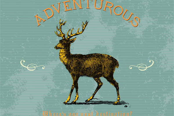 探索自然之美：森林中的鹿裁片印花服装